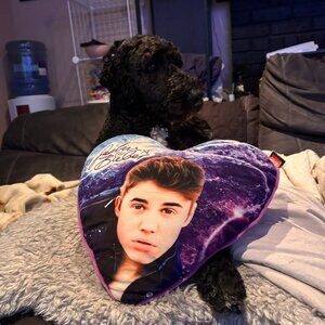 Justin Bieber Heart-Shaped Pillow – Vintage Belieber Merch
